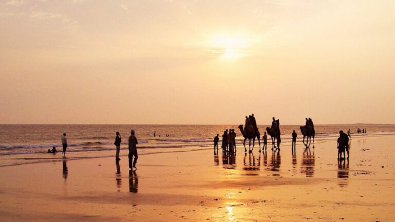 Top 10 Place Must To Visit In Kutch